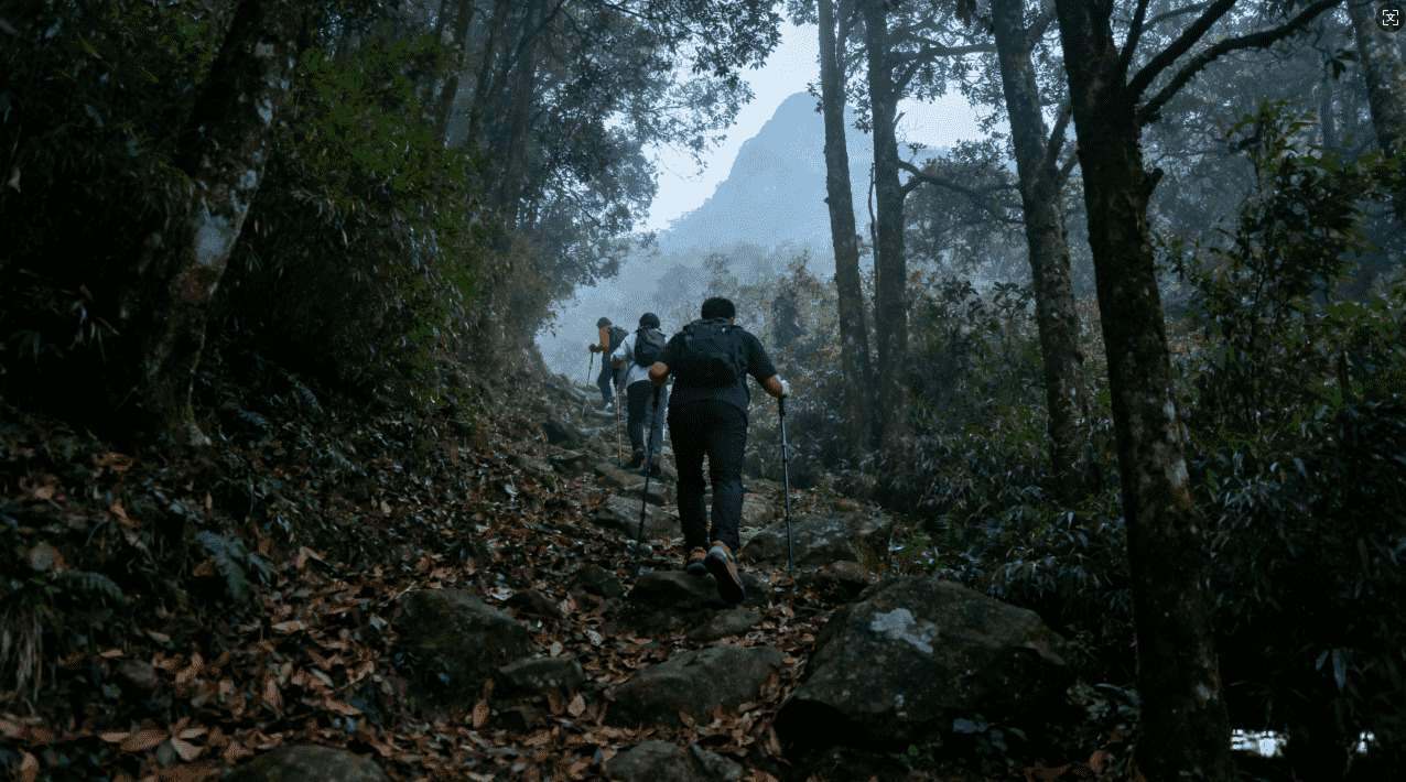 老王加速器百度贴吧使用方法详解